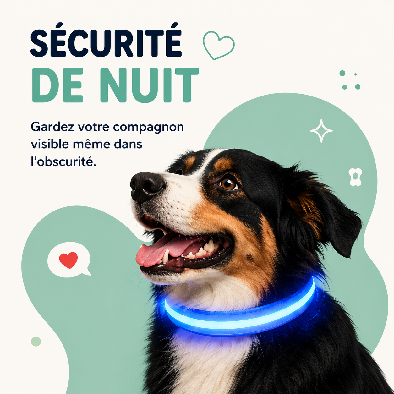Collier LED pour Chien — Visible la Nuit