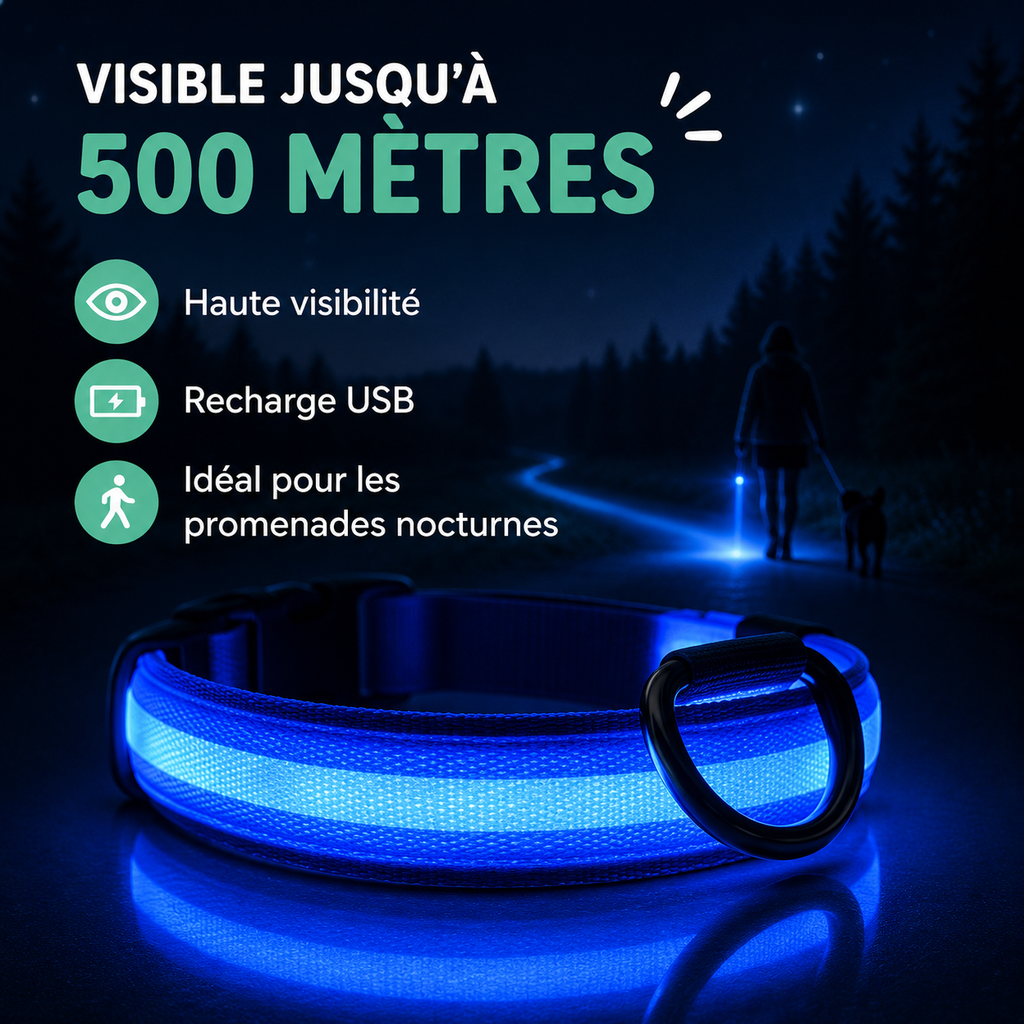 Collier LED pour Chien — Visible la Nuit