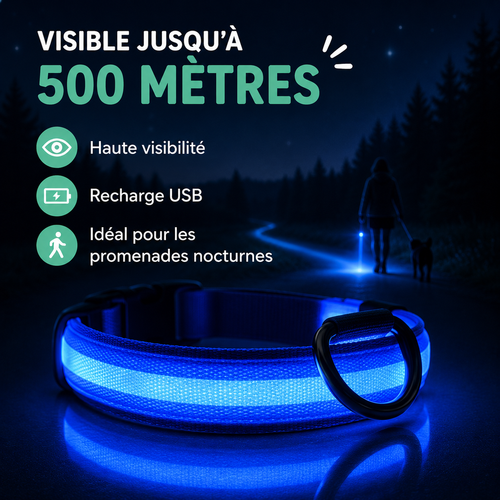 Collier LED pour Chien — Visible la Nuit