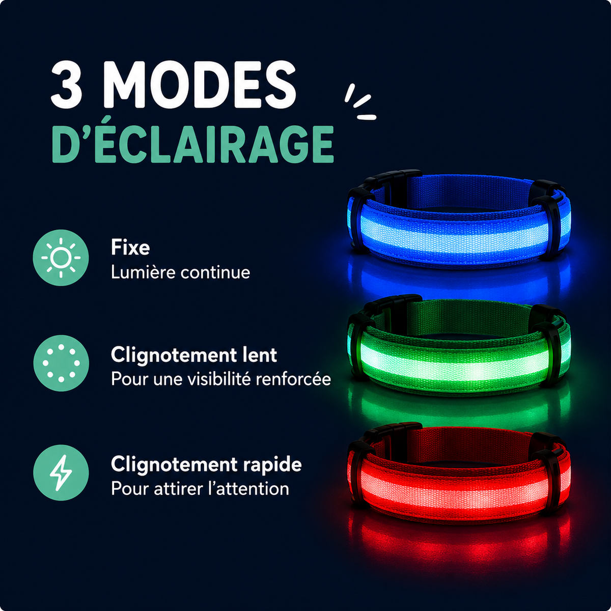 Collier LED pour Chien — Visible la Nuit