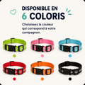 Collier LED pour Chien — Visible la Nuit
