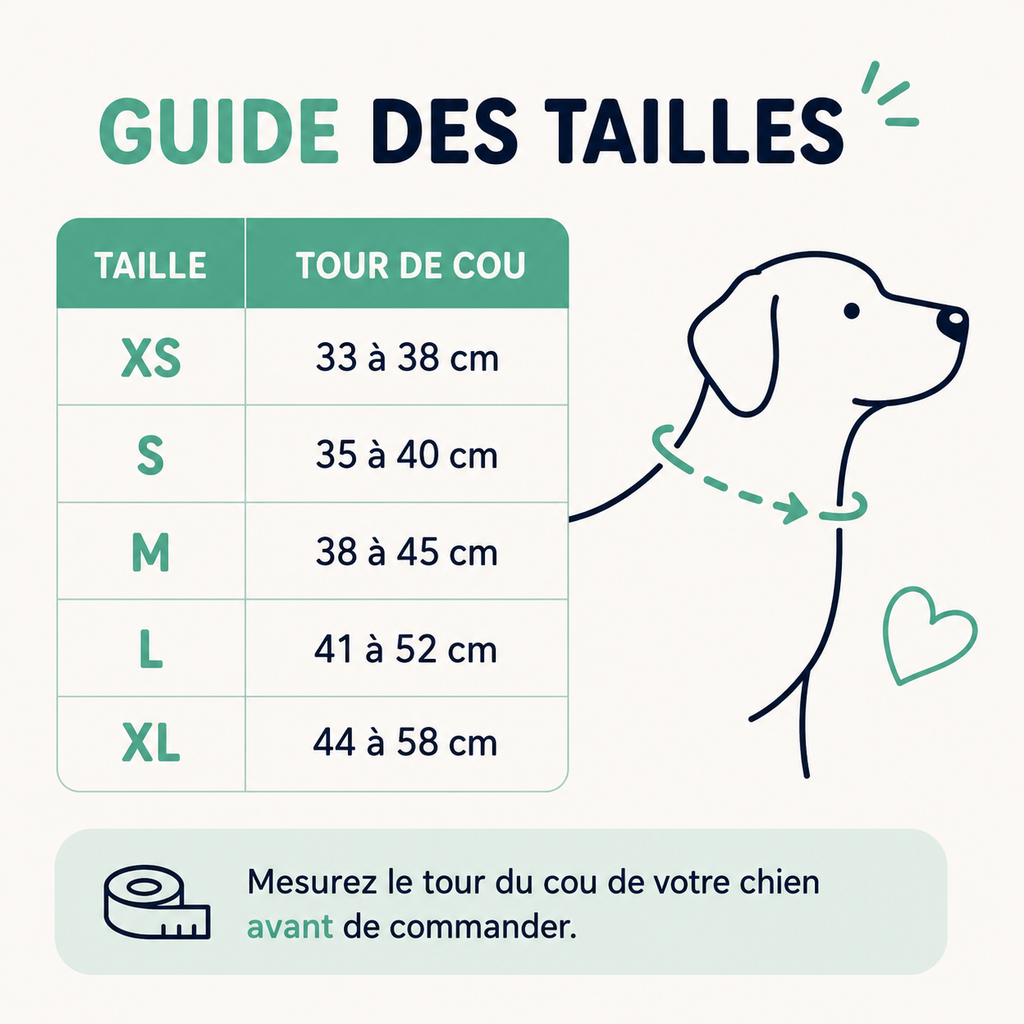 Collier LED pour Chien — Visible la Nuit