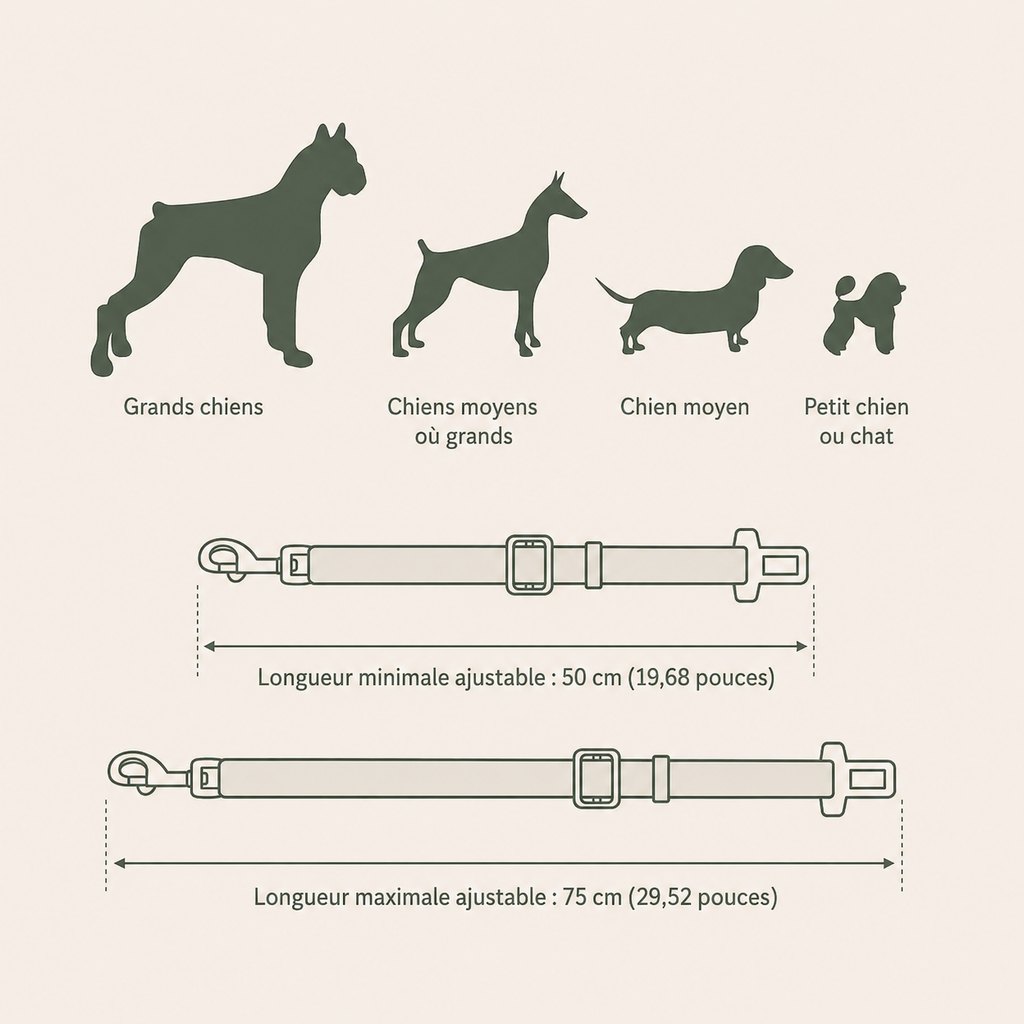 Ceinture de Sécurité Voiture pour Chien et Chat — Ajustable & Résistante