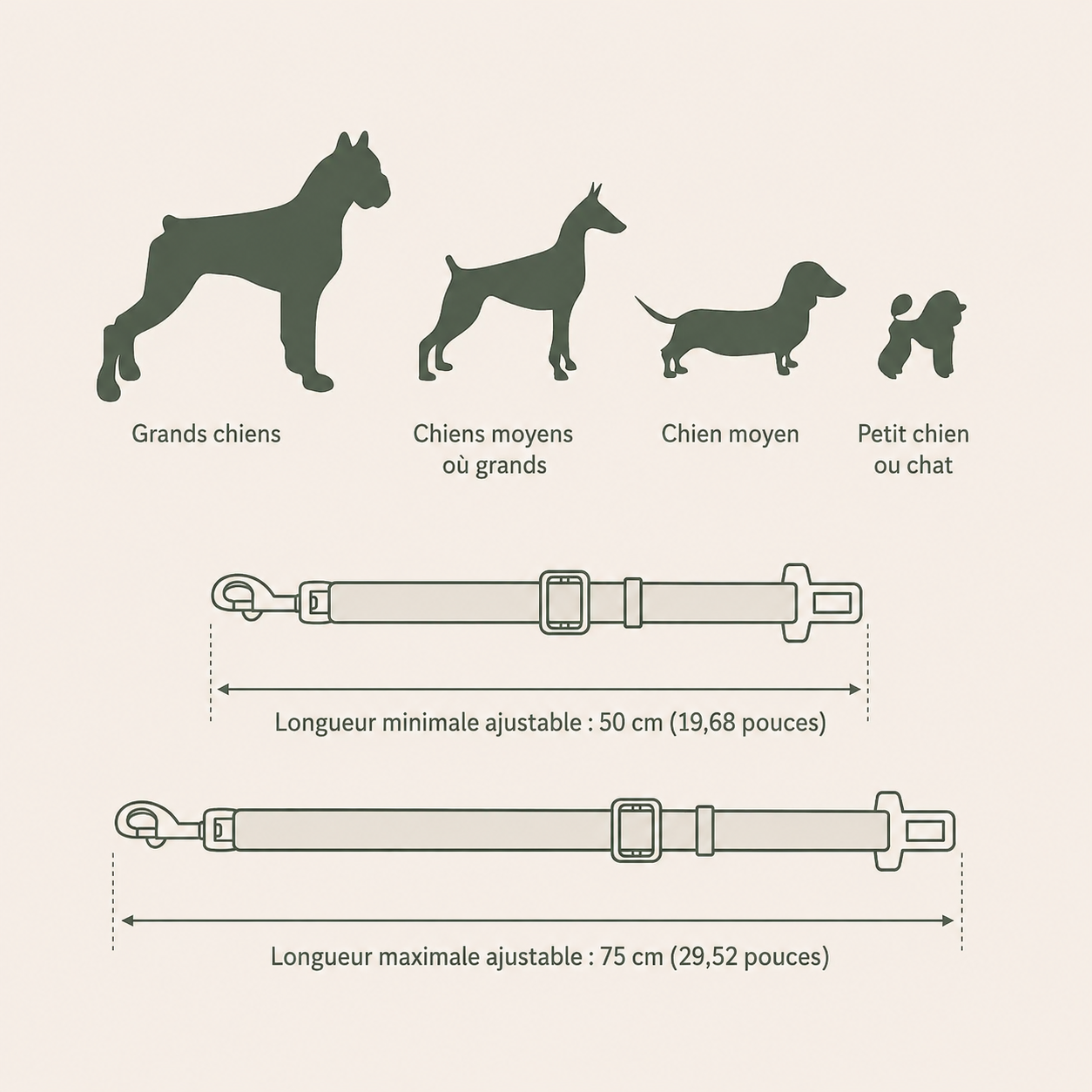 Ceinture de Sécurité Voiture pour Chien et Chat — Ajustable & Résistante