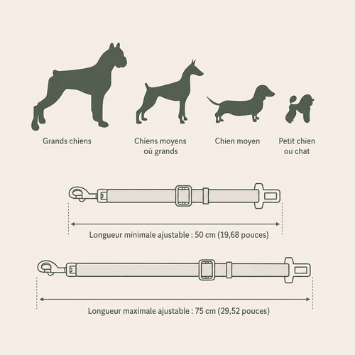 Ceinture de Sécurité Voiture pour Chien et Chat — Ajustable & Résistante
