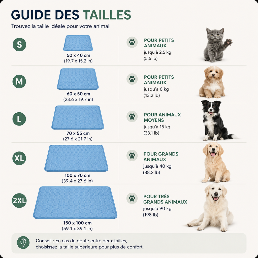 Tapis Rafraîchissant pour Chien — Été, Toutes Tailles