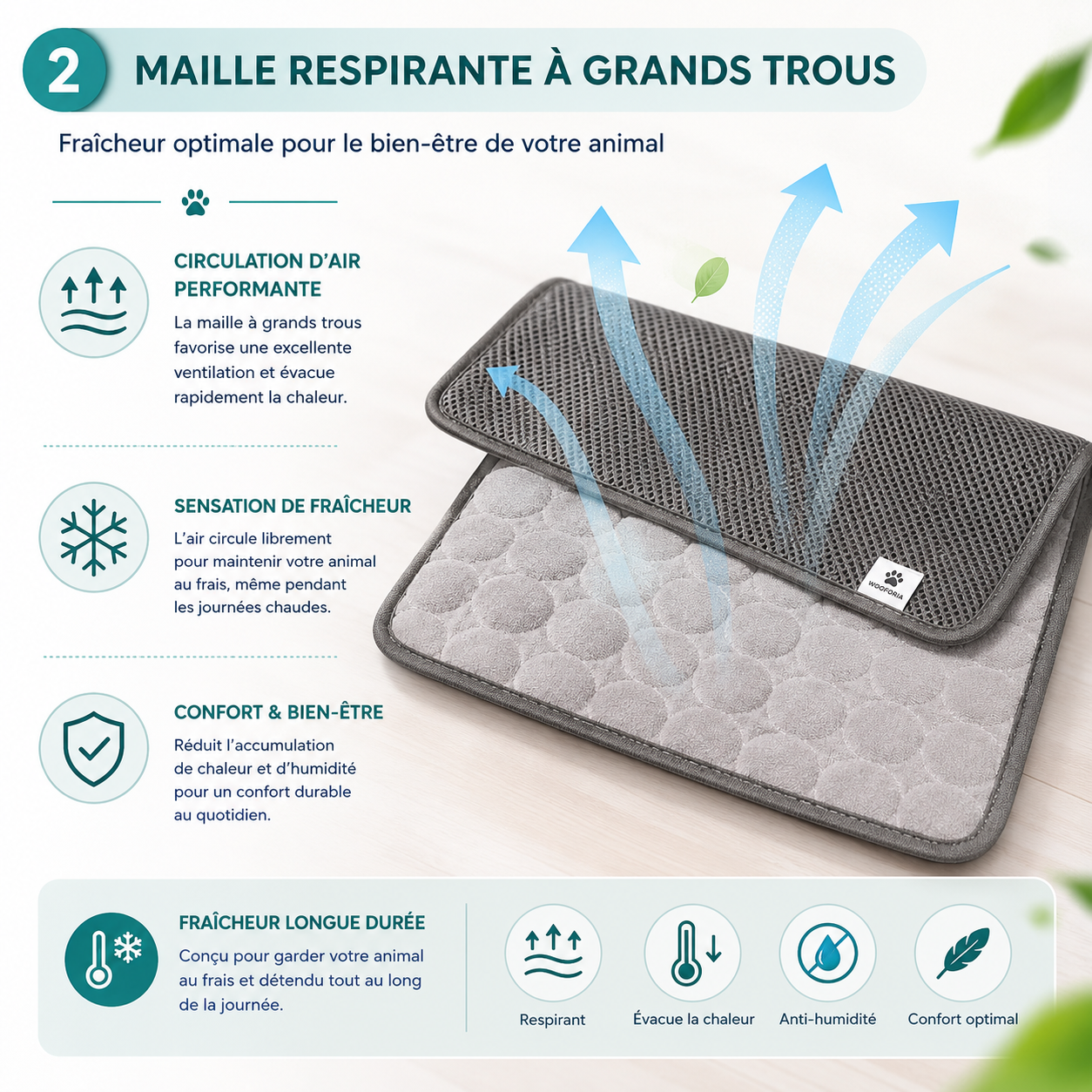 Tapis Rafraîchissant pour Chien — Été, Toutes Tailles