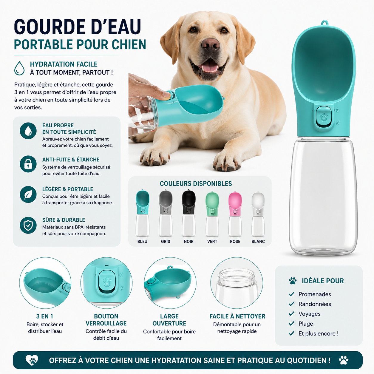 Gourde Portable pour Chien et Chat — Anti-Fuite avec Abreuvoir Intégré (300 à 550 ml)
