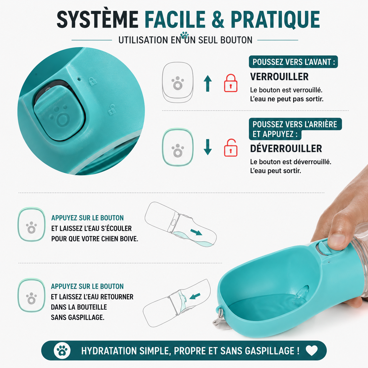 Gourde Portable pour Chien et Chat — Anti-Fuite avec Abreuvoir Intégré (300 à 550 ml)