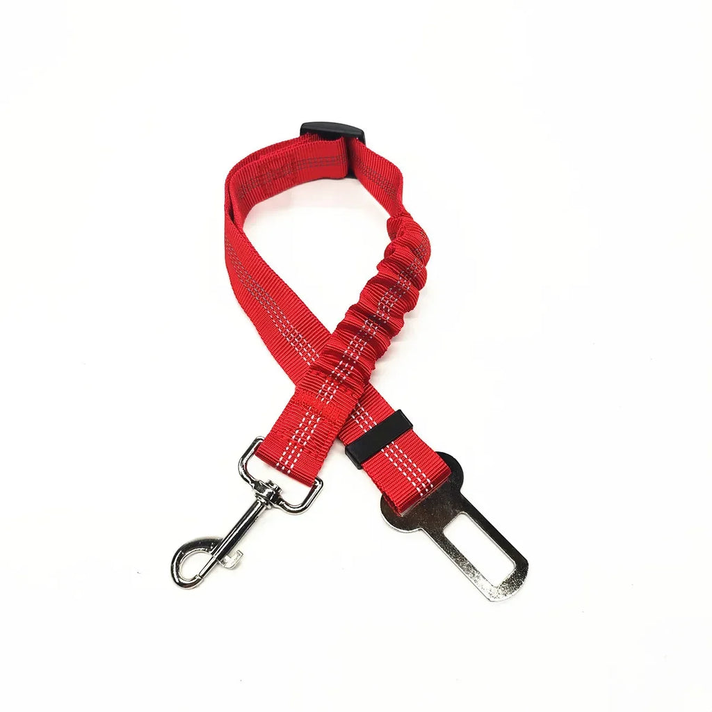 Ceinture de Sécurité Voiture pour Chien et Chat — Ajustable & Résistante