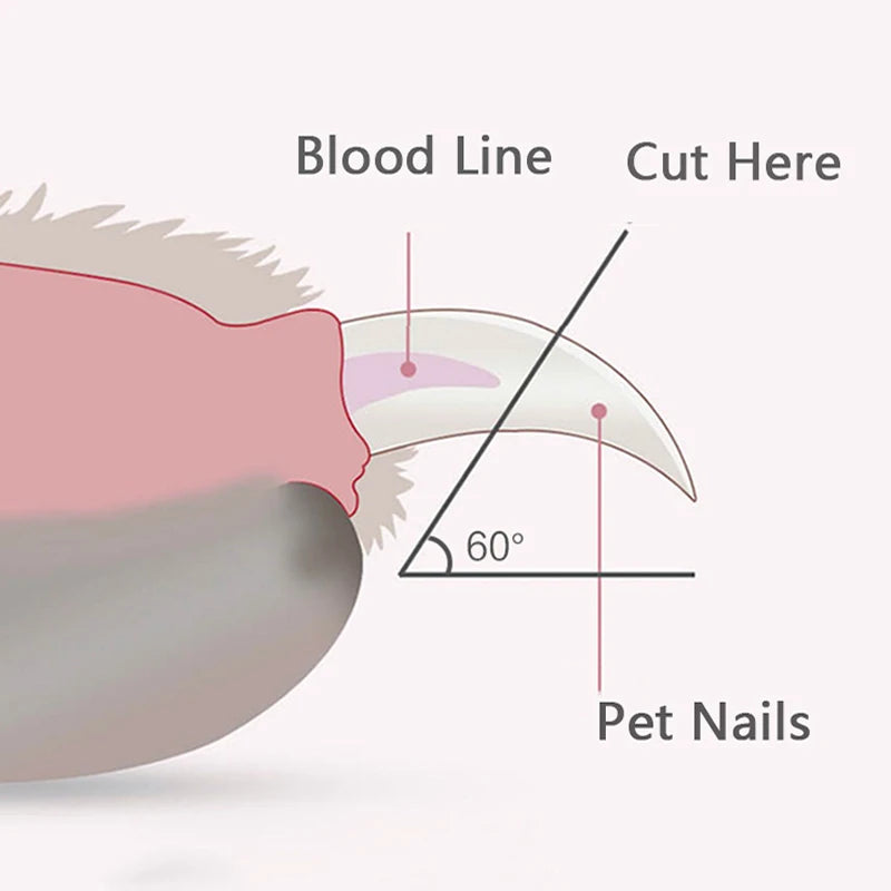 Coupe-Ongles pour Chien et Chat avec Lumière LED — Sécurité & Précision