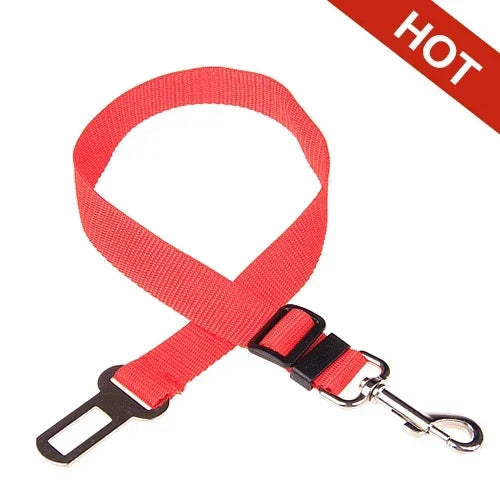 Ceinture de Sécurité Voiture pour Chien et Chat — Ajustable & Résistante