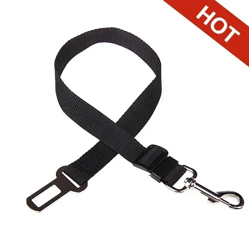 Ceinture de Sécurité Voiture pour Chien et Chat — Ajustable & Résistante