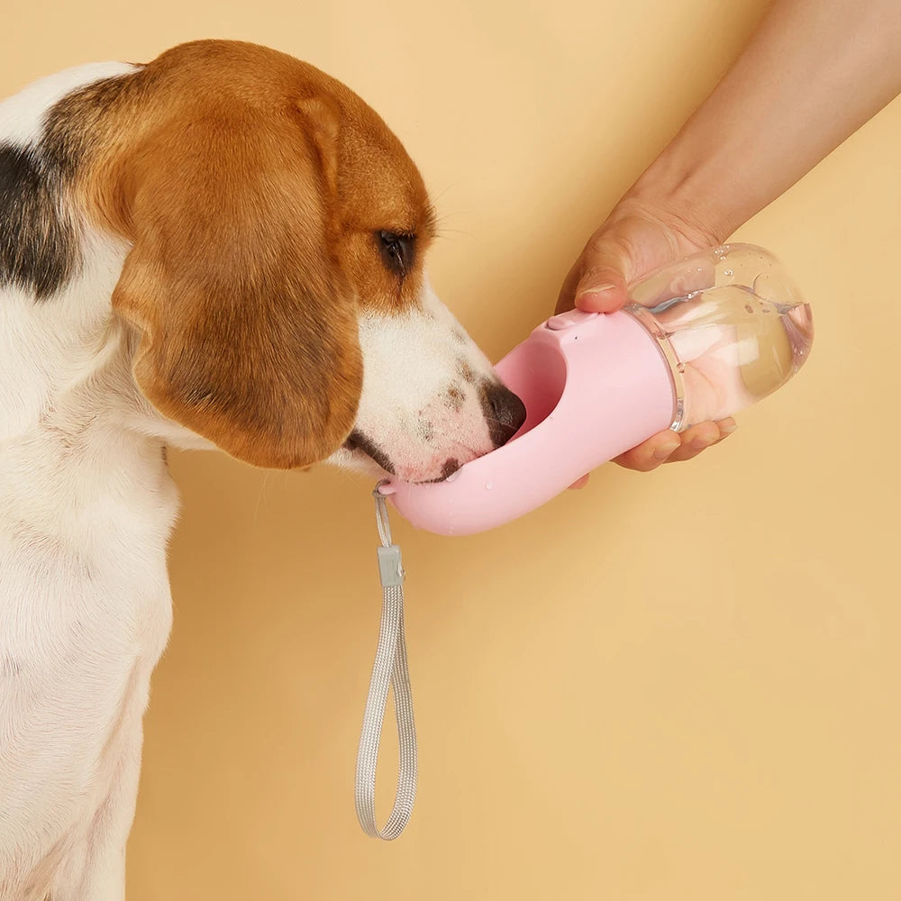 Gourde Portable pour Chien et Chat — Anti-Fuite avec Abreuvoir Intégré (300 à 550 ml)