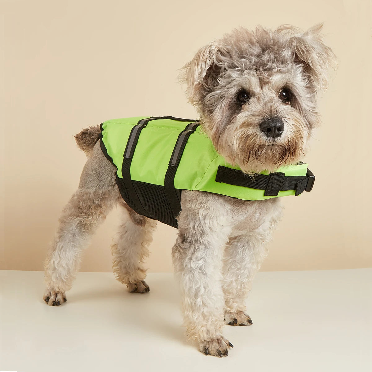 Gilet de Sauvetage pour Chien — Réfléchissant & Ajustable