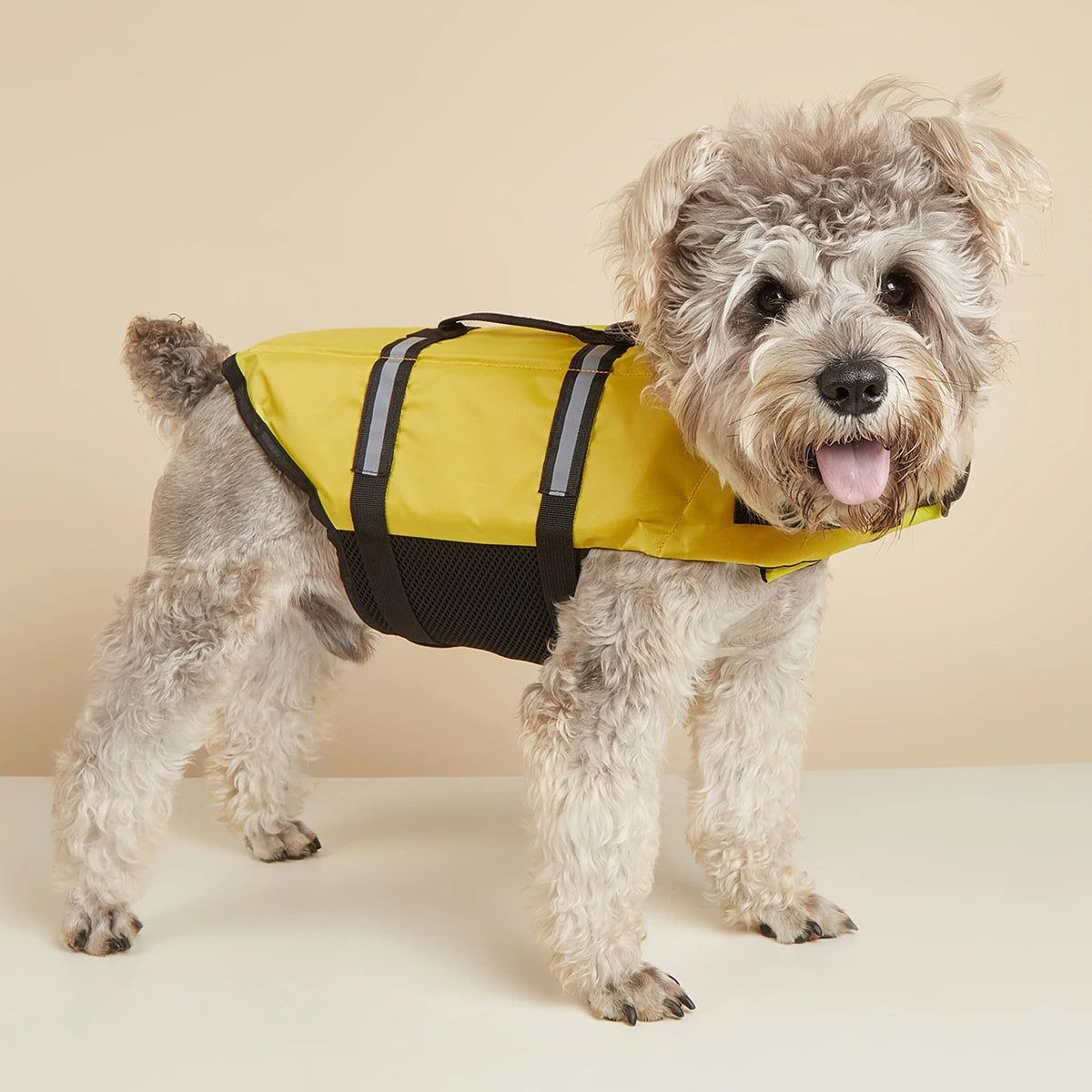 Gilet de Sauvetage pour Chien — Réfléchissant & Ajustable