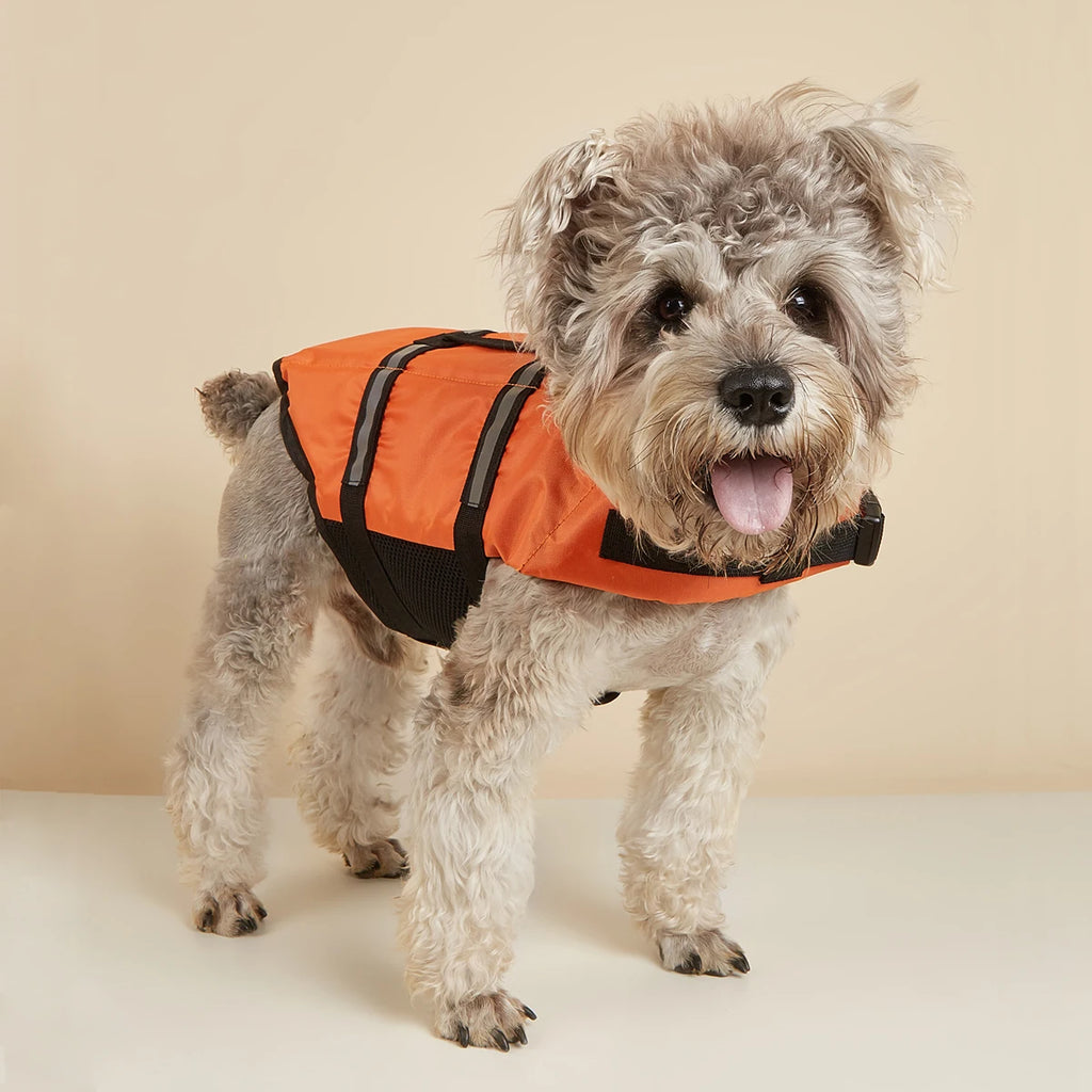 Gilet de Sauvetage pour Chien — Réfléchissant & Ajustable