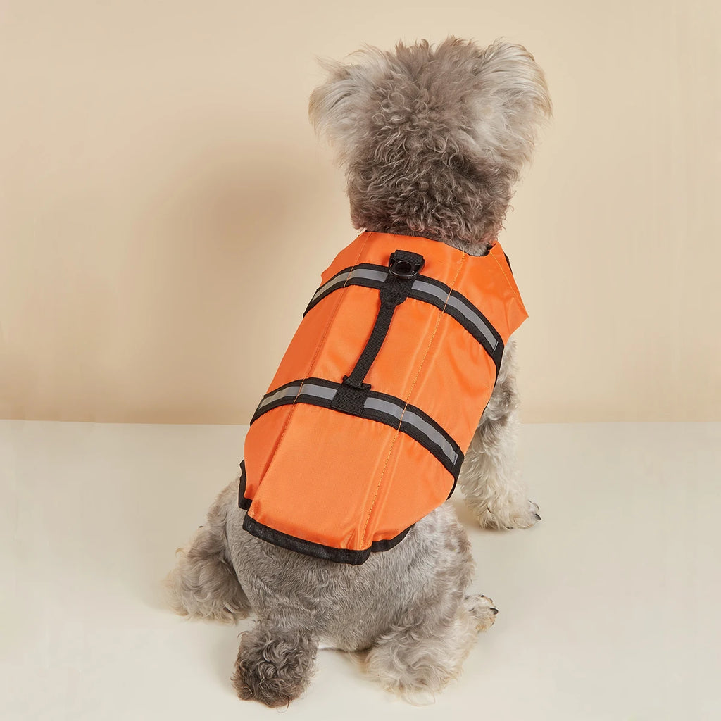Gilet de Sauvetage pour Chien — Réfléchissant & Ajustable