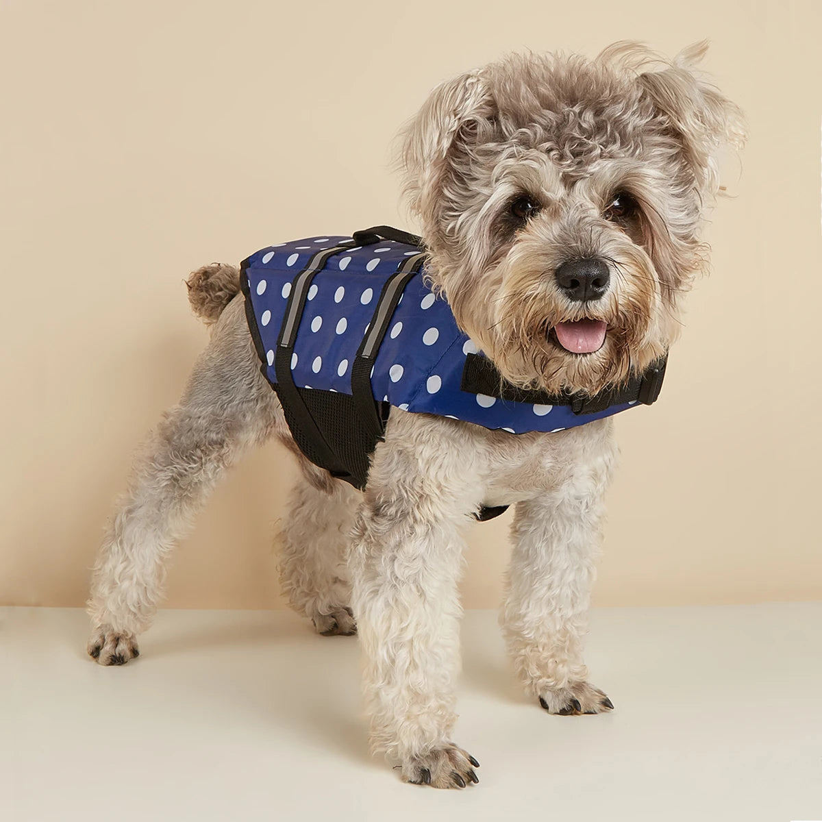 Gilet de Sauvetage pour Chien — Réfléchissant & Ajustable