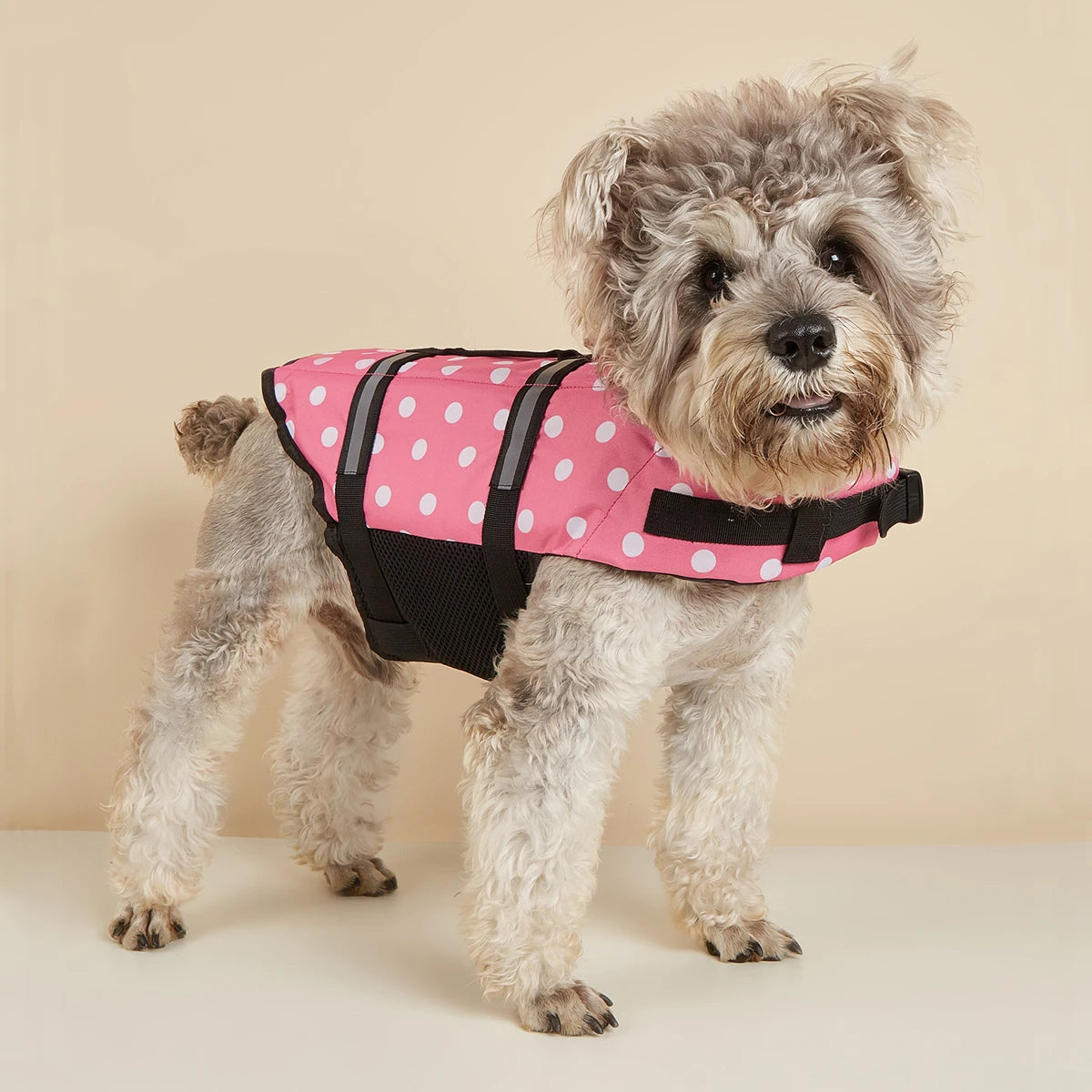 Gilet de Sauvetage pour Chien — Réfléchissant & Ajustable
