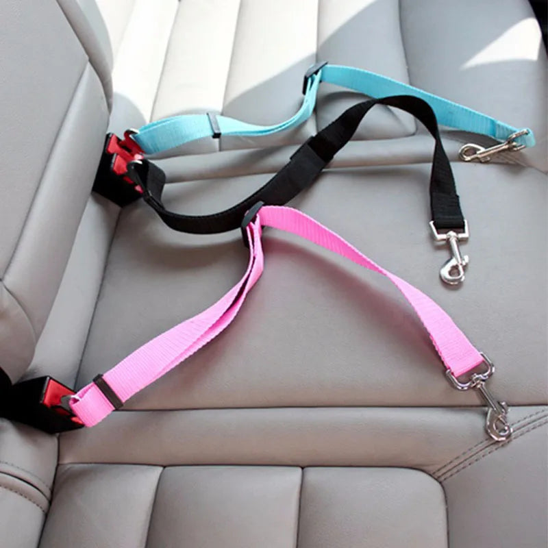 Ceinture de Sécurité Voiture pour Chien et Chat — Ajustable & Résistante